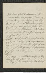 Nachlass Franz Steindachner, Brief von Hugo Schilling an Franz Steindachner (23.05.1877), Inv.Nr. 451.02, Seite 2